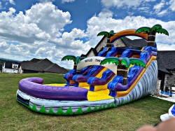 277733194 416010456997406 6133089760552424642 n 1718247524 16 ft. Wild Thing Dual Lane Water Slide