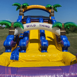 2 1706058382 16 ft. Wild Thing Dual Lane Water Slide