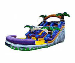 16 ft. Wild Thing Dual Lane Water Slide