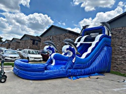 dolphin 1707395615 16 ft. Dolphin Water Slide