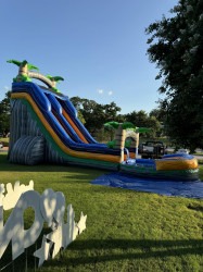 449695651 1009218244115476 1119527557365520458 n 1721878368 20FT TROPICAL PALM TREE WATER SLIDE